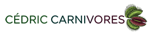 Cédric Carnivore's