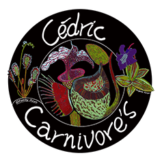 Cédric Carnivore's